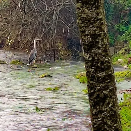 Σπίτι διακοπών River House - Casas Do Rio Tora Arcos de Valdevez
